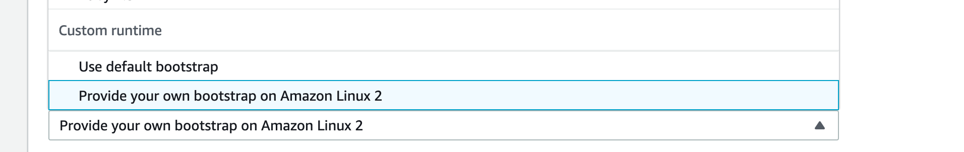 Select Custom Runtime