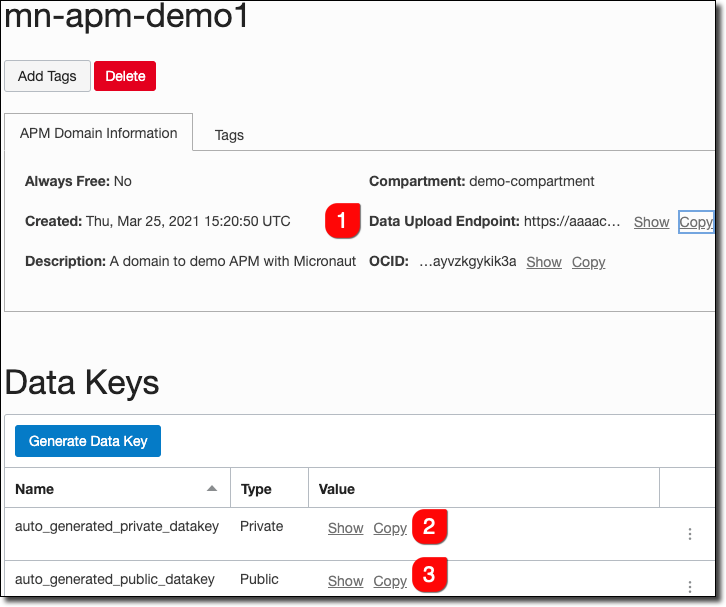 Create APM Domain