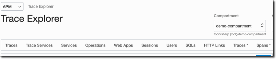 APM Trace Explorer Choose Query