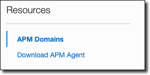 APM Domains