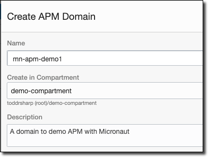 Create APM Domain Details